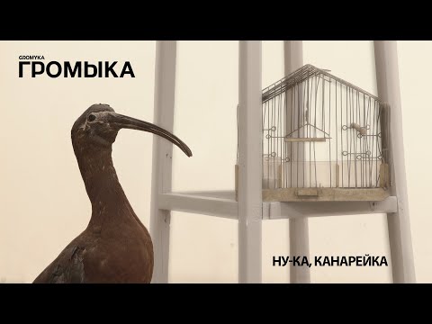 Video thumbnail for Ну-ка, канарейка (Come on, canary)