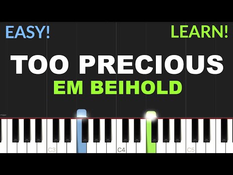 Too Precious - Em Beihold