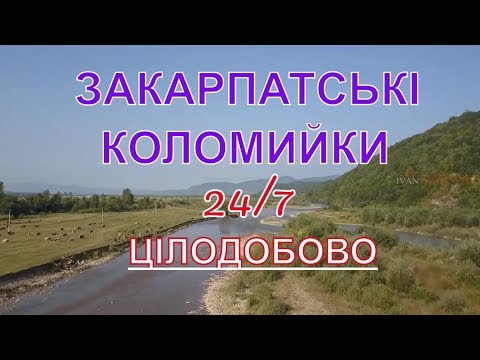 #прямийефір Файні Закарпатські коломийки для хорошого настрою онлайн 24/7