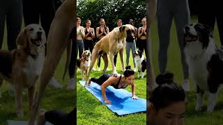 Download lagu Pets,dog,yoga,yogadog,doglife,animals,doglove,cutepuppy mp3