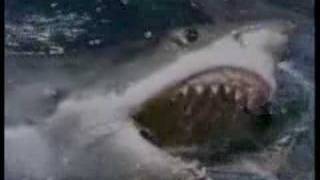 DC-10 by Audio Adrenaline