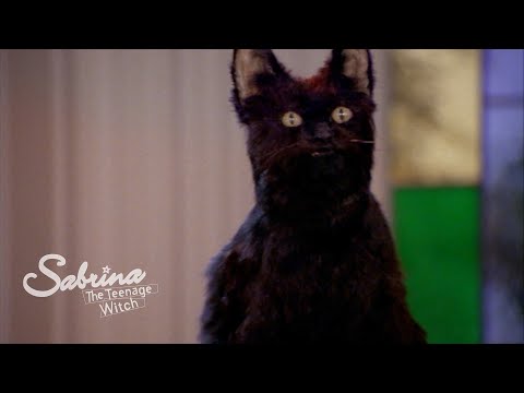 Sabrina Enters Salem into a Cat Show!