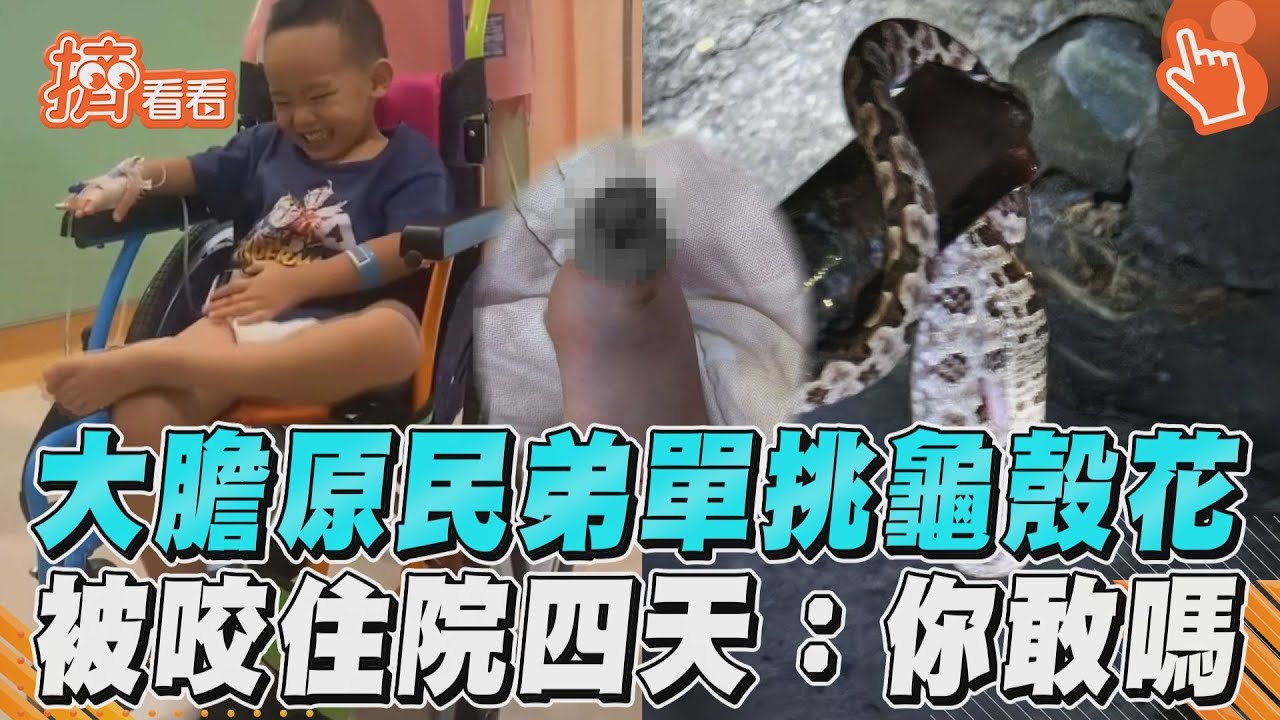 影音/大膽原民弟單挑龜殼花 被咬住院四天:你敢嗎