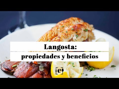 Langosta: propiedades, beneficios y valor nutricional