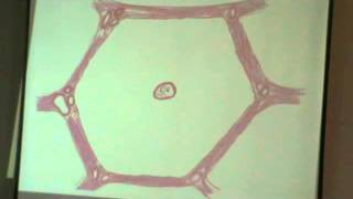 Dr Gihan Datashow (MGS) & Drawing Revision 2 part3