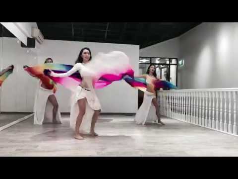 Belly Dance Veil Choreography by Desert Roses