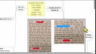 הדף היומי של אתר סיני - מנחות דף לב - שיעור קצר וברור במיוחד מאת אורי בריליאנט (שיעורי הדף היומי בקצרה מאת הרב אורי בריליאנט) - התמונה מוצגת ישירות מתוך אתר האינטרנט יוטיוב. זכויות היוצרים בתמונה שייכות ליוצרה. קישור קרדיט למקור התוכן נמצא בתוך דף הסרטון