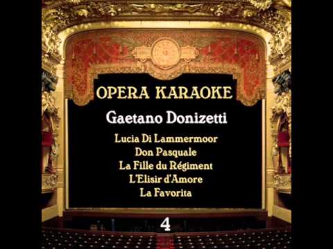 Gaetano Donizetti - L'Elisir d'Amore : Come paride vezzoso