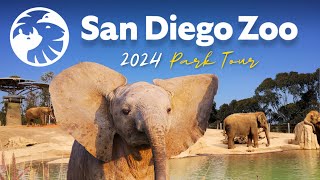 San Diego Zoo Guide - Top Tips, Shows & Exhibits 🦁