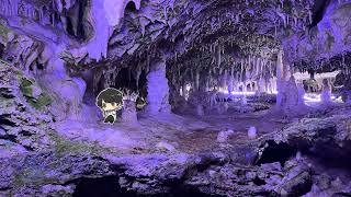 【PSO２NGS】復帰勢が行く！戦闘力あげて緊急クエ行きたいんじゃ！！　参加型レベル上げ配信