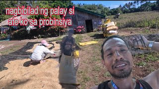 Sarap buhay probinsiya nagbilad ng palay