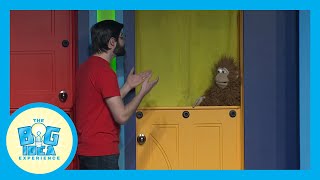 Adventures with Artie: Friendship