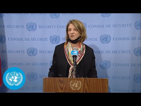 Security Council President on Myanmar, Libya and Ukraine - Media Stakeout (28 January 2022)