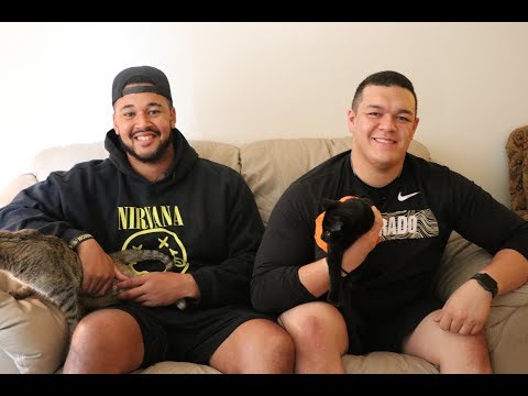 Pet kittens keep Colorado football offensive linemen and roommates Josh Kaiser and Tim Lynott on...