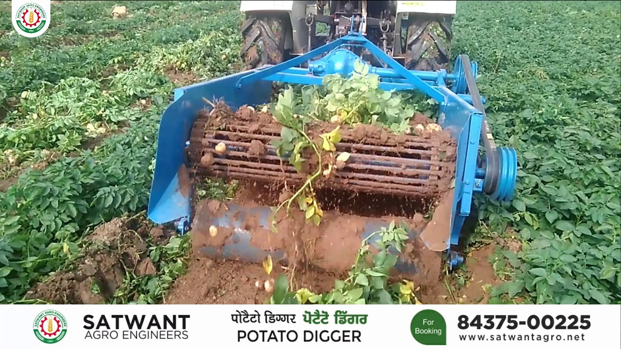 SATWANT POTATO DIGGER | WORKING VIDEO | SATWANT AGRO