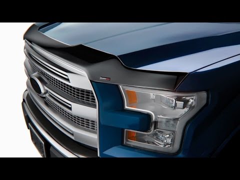 Weathertech Hood Protector