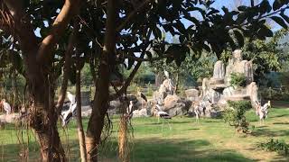 preview picture of video 'FLC Safari Zoo - Vườn chim - Golden Life Travel'