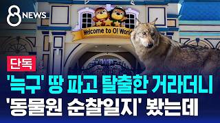 [단독] 매일 점검했는데..순찰일지엔 '철망 부식' 없었다 / SBS 8뉴스