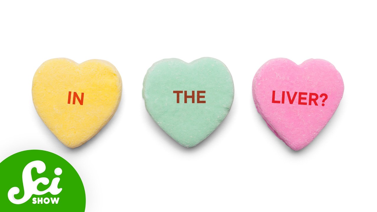 Where Is Love Stored in the Body?