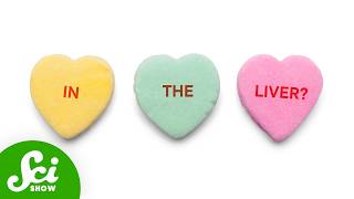 Where Is Love Stored in the Body?