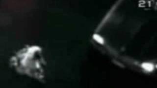 Real ID - New American Century