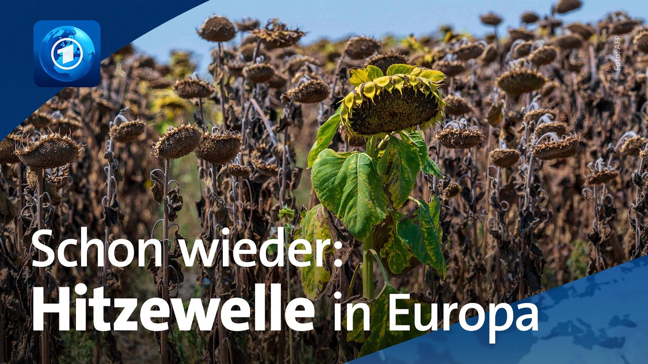 Neue Hitzewelle in Europa | 🌍 tagesschau24 Top-Thema, 7.8.2026