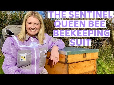 The Sentinel Queen Bee Women's Beekeeping Suit Review