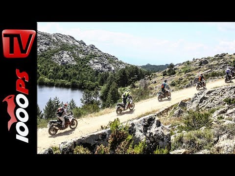 Was geht mit KTM 1290 Super Adventure im Gelände? Volle Attacke!