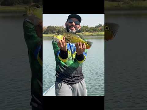 Primeiro de Maio - Paraná Um Tesouro Turístico