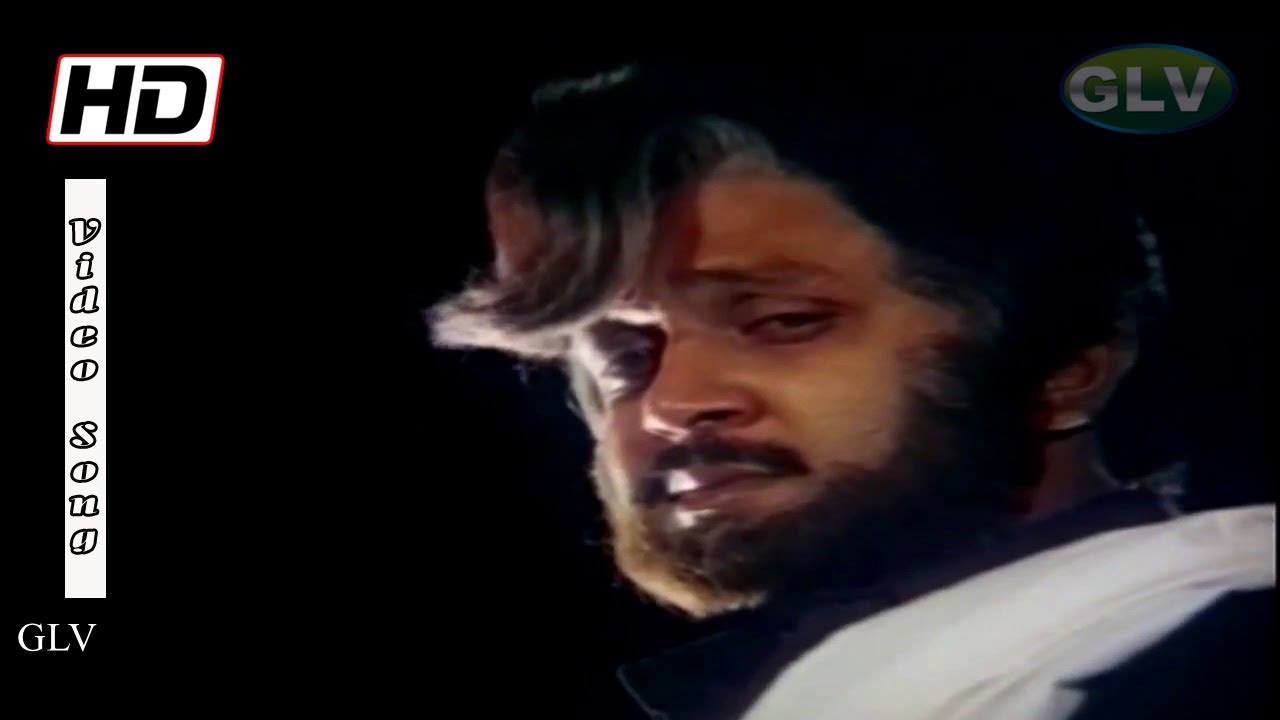 Singara Seemaiyile Selvangalai Song Lyrics | Ninaivu Chinnam | Ilayaraja