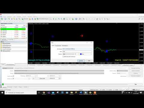 Video Haskayafx 30 Pips in a MinuteTFM1V014