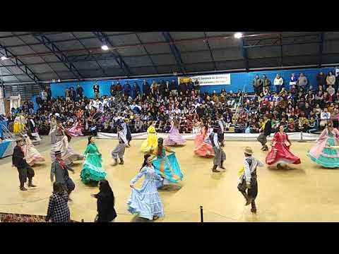 JUVENART 2019 - CTG RONDA CHARRUA - Tatu de Castanhola