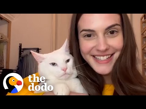 Woman Buys House And Finds Out It Comes With 4 Cats | The Dodo
