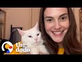Woman Buys House And Finds Out It Comes With 4 Cats | The Dodo