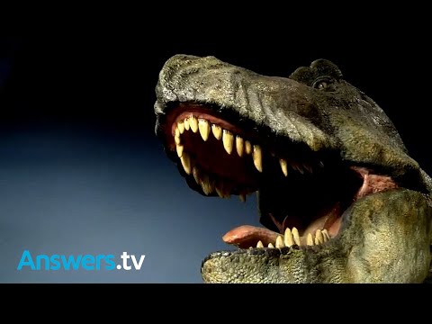 Buddy Davis' Amazing Adventures / Official Clip / I Dig Dinosaurs