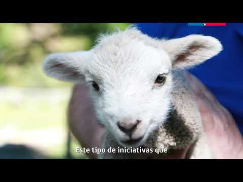 Conservación genética y nuevas oportunidades para Aysén fueron ejes de seminario en Coyhaique