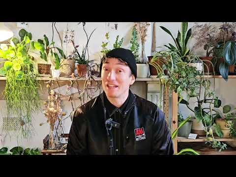 Intro - Training Jazz & Lindy Hop