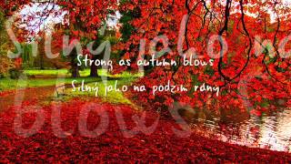 Passenger - And I Love Her