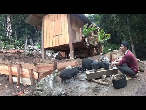 Full video: 120 days building farm life - Survival in the wild farm - green forest life
