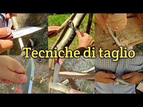 Tecniche di taglio e norme di sicurezza con il COLTELLO.