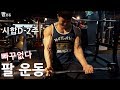 시합D-2주 빠꾸없는 루틴, 팔운동