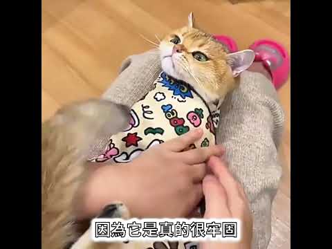 https://img.youtube.com/vi/h30qV29JsnE/0.jpg