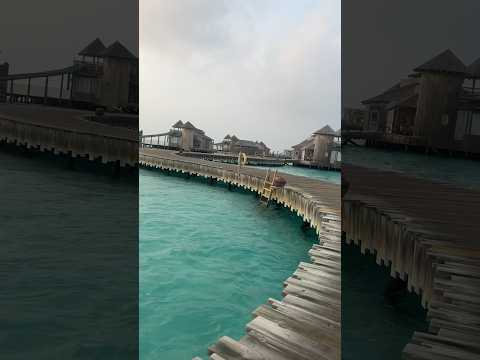 #incredibleindia #maldives #beach #watersport #luxury #vacation #travel #maldives #sonevajani