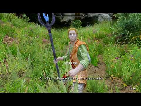 Skyrim - Aspiring Mage - Rare Random Encounter