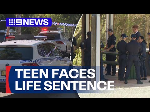 15-year-old faces life sentence over alleged stabbing murder of another teen | 9 News Australia