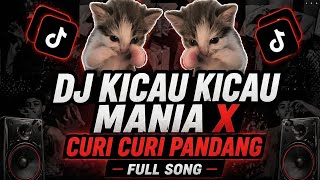 Download lagu DJ TIKTOK TERBARU 2026 🎵 KICAU KICAU MANIA X CURI CURI PANDANG 🎵 FULL BASS DJ VIRAL 🎵  mp3