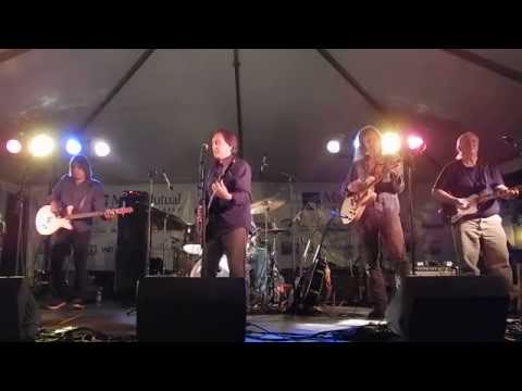 Denny Laine - Swinging Steaks - 1985 - Springfield DSCN0074