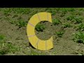 C Limerick Instrumental