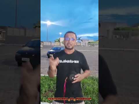 catchorro do piseiro  salve pro negrinho da coabe  de passagem  franca Maranhão tmjt
