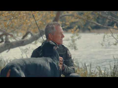 Meradog - Förtjänar inte din hund det allra bästa?